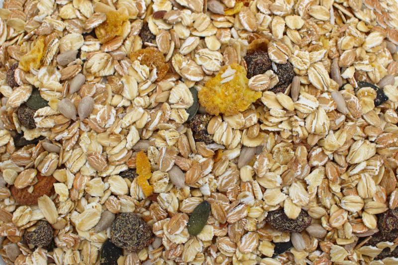 Muesli Vital Ekologiczny 25kg