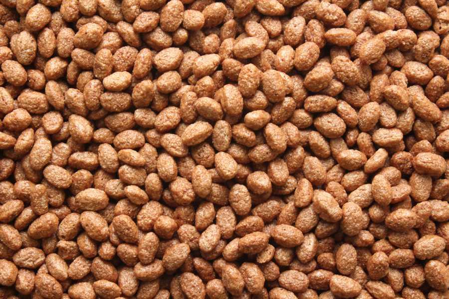 Czekoladowe platki bio 10kg