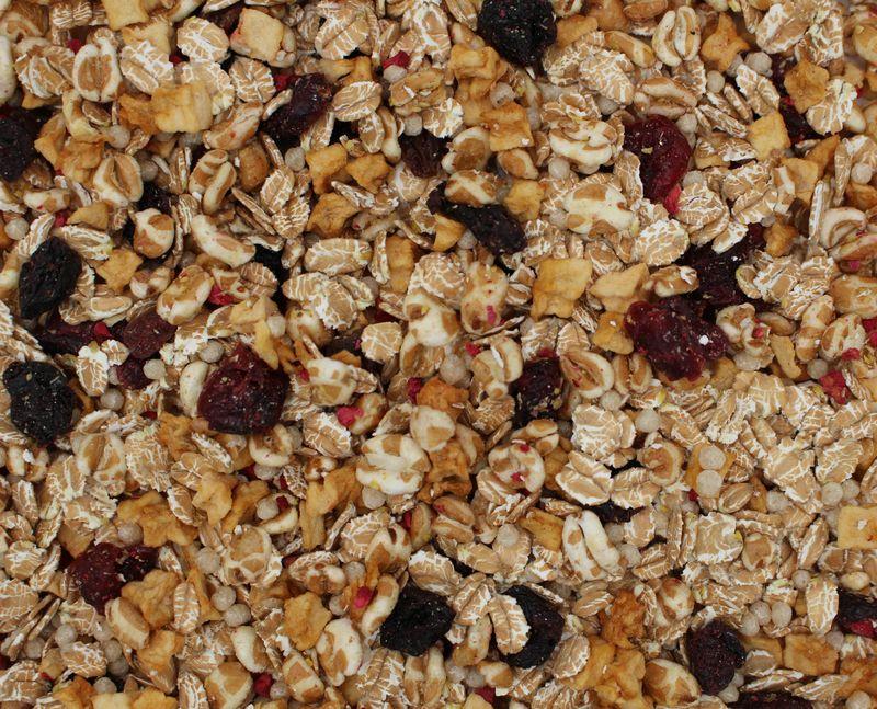 Muesli z pszenzyca z owocami bio 12,5kg
