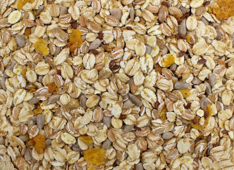 Muesli bez rodzynek Ekologiczny 25kg