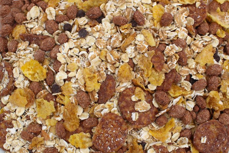 Müsli Czekoladowe Ekologiczny 20kg