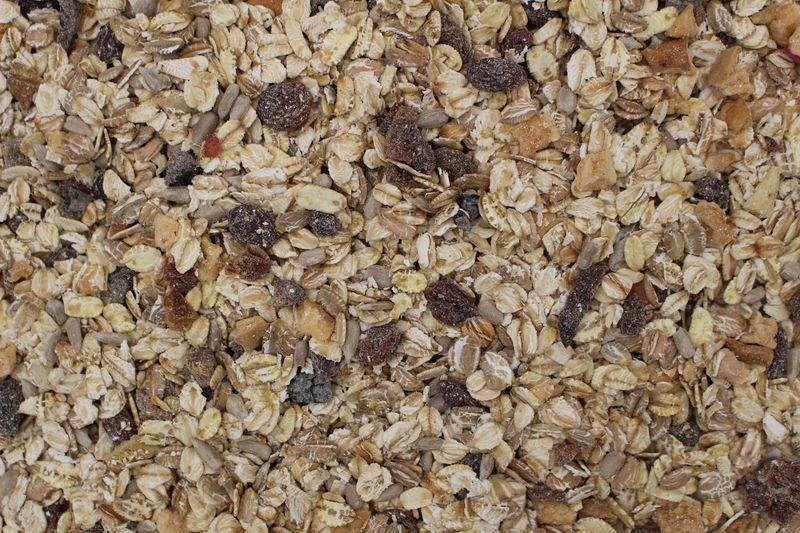 Owoce Müsli bio 5kg