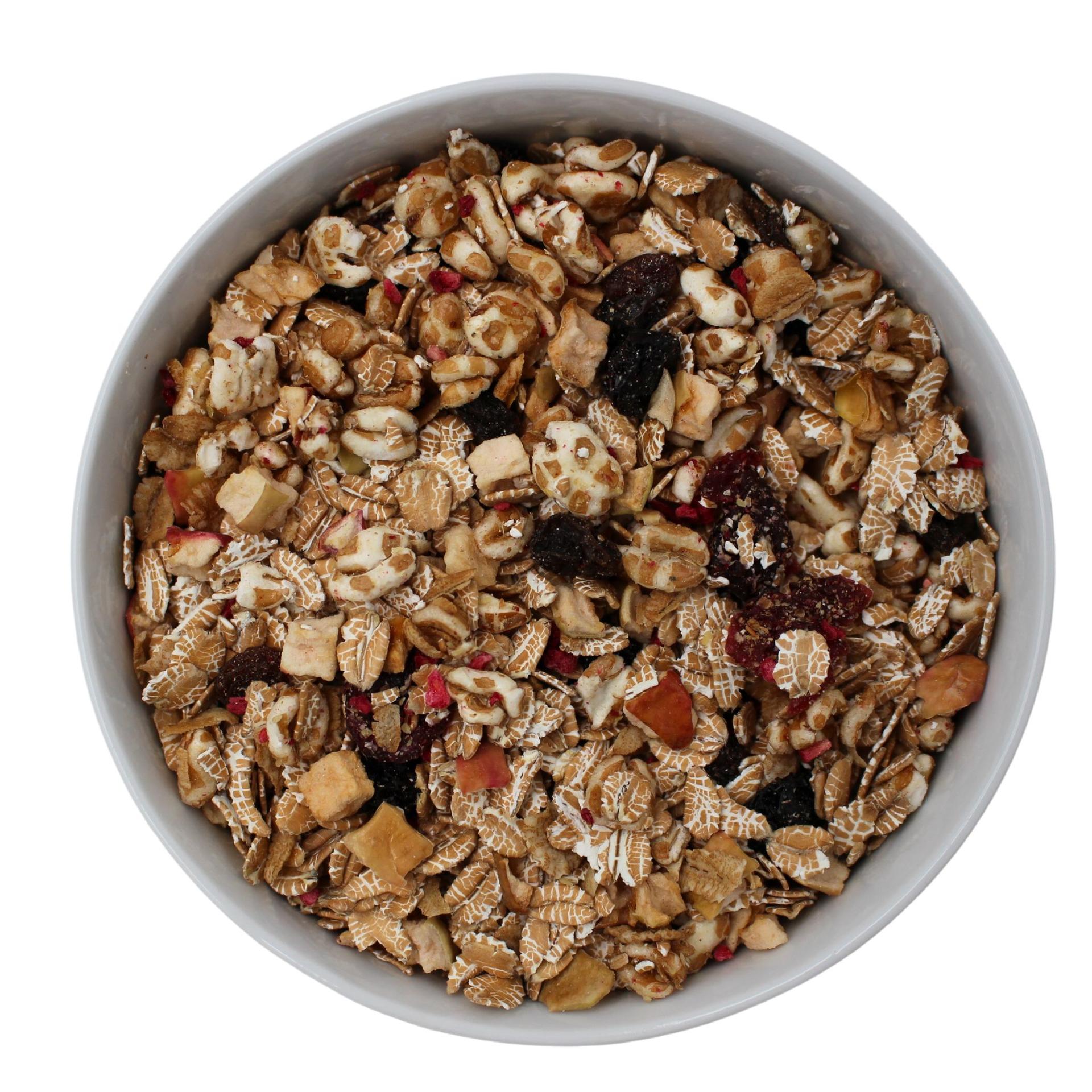 Muesli z pszenzyca z owocami ekologiczny 20kg