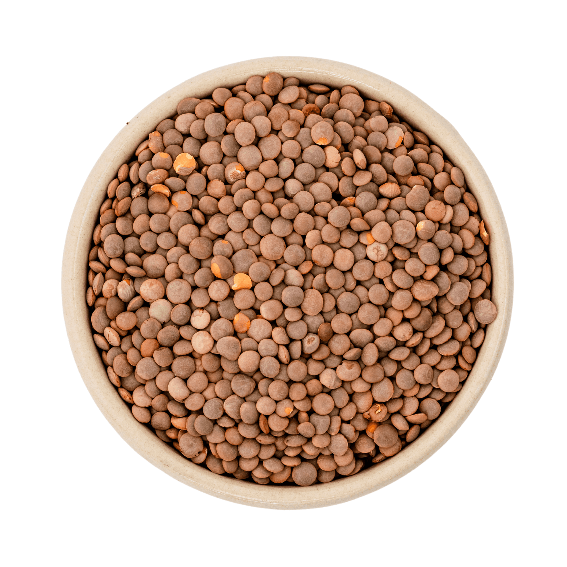 Soczewica górska brazowa bio (Gourmet) 25kg