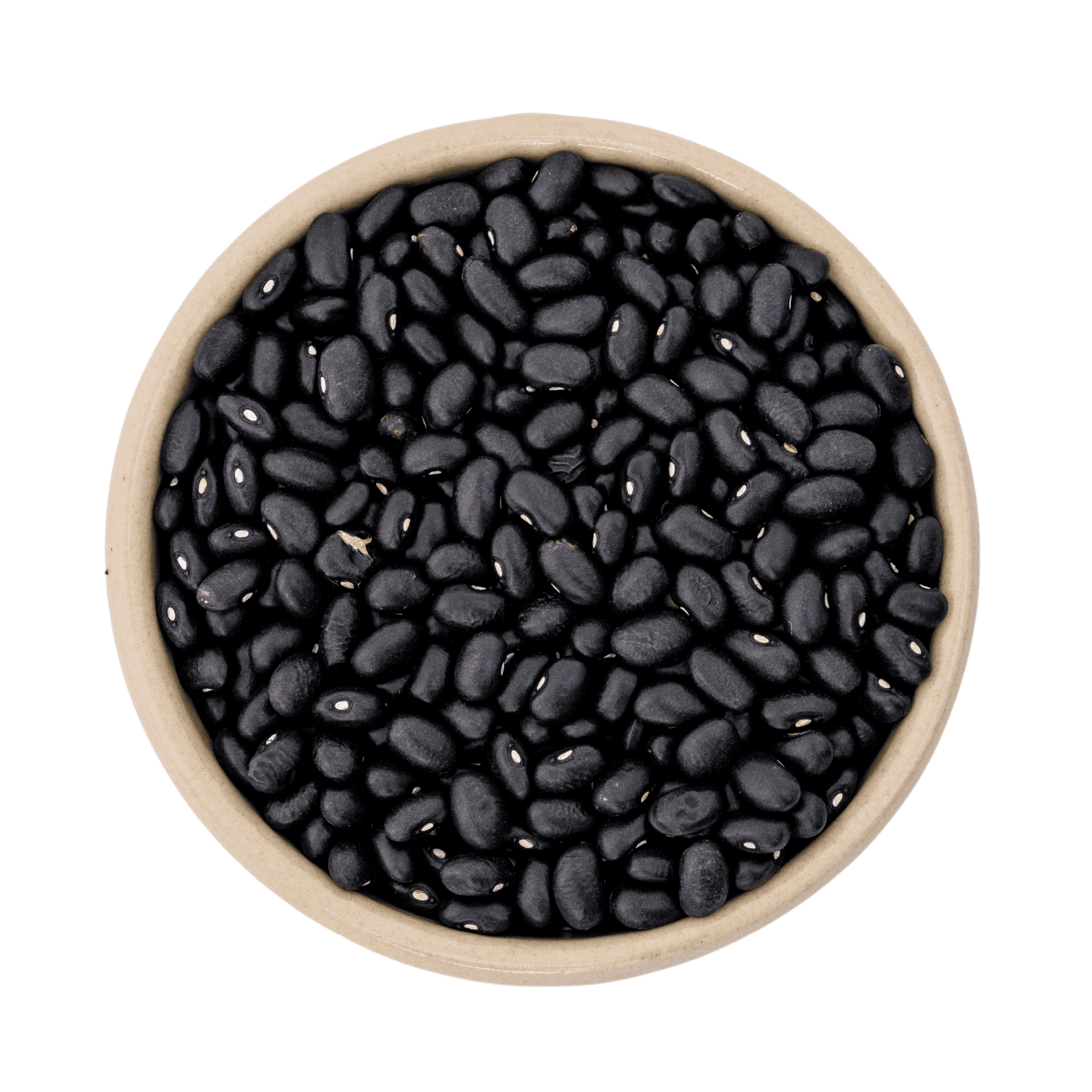 Czarne fasola bio (black turtle) 5kg